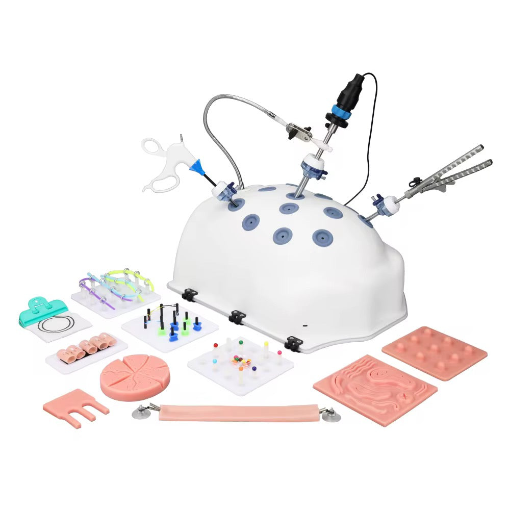Laparoscopy Training Torso full set: 1:1 simulated belly, modules, instruments and camera