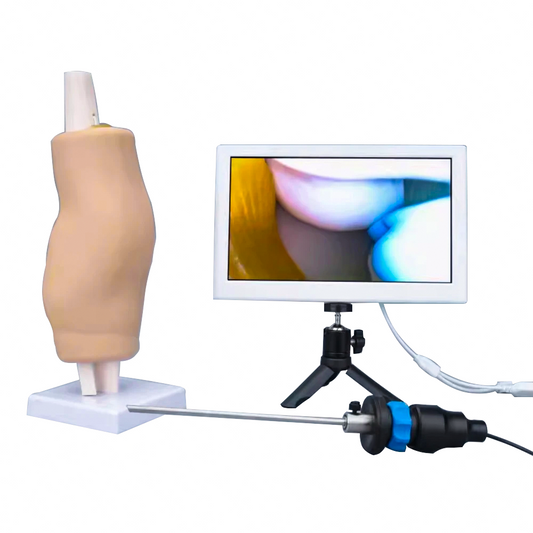 Knee Arthroscopy Simulator - High Fidelity Surgical Training Model