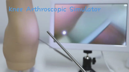 Knee Arthroscopy Simulator - High Fidelity Surgical Training Model